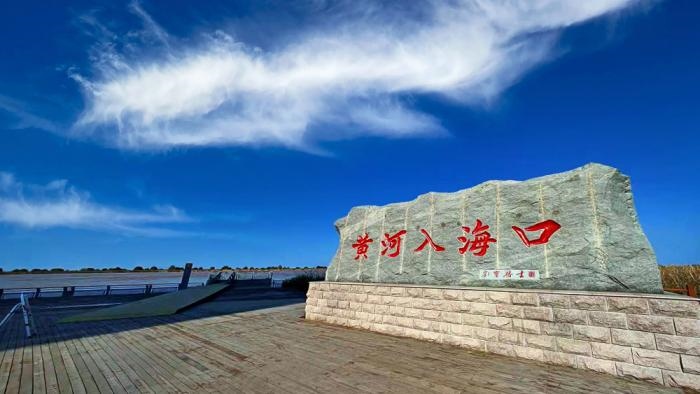 △黃河入?？谖挥谏綎|東營(yíng)市墾利區(qū)。(總臺(tái)央視記者彭漢明拍攝)