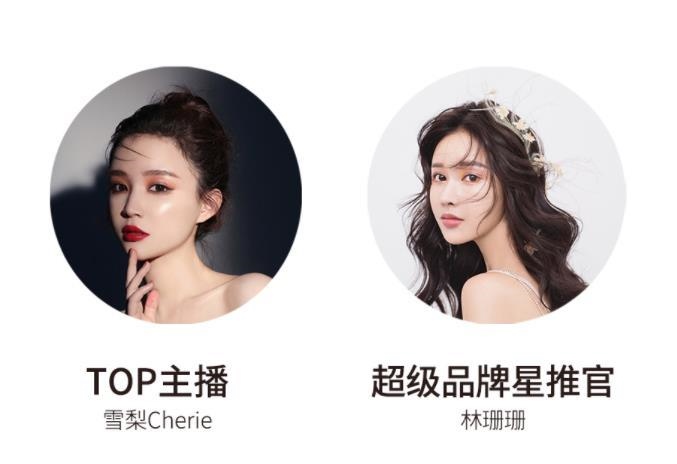 宸帆電商官網截圖。