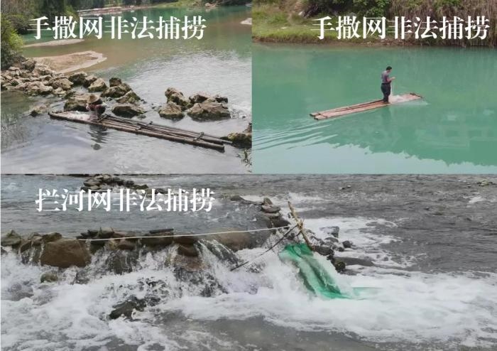 2021年9—10月，前期暗查發(fā)現(xiàn)，保護區(qū)核心區(qū)內非法捕撈行為十分猖獗