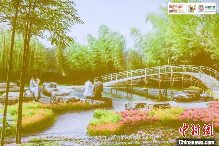 圖為活動現(xiàn)場通過視頻展示“中國竹園”設計方案。　荷蘭駐華大使館供圖