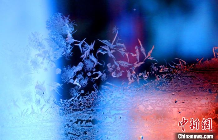 點點冰花像一個個小精靈?！O書程 攝