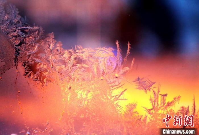 迎著光亮，冰窗花絢麗多姿?！O書程 攝