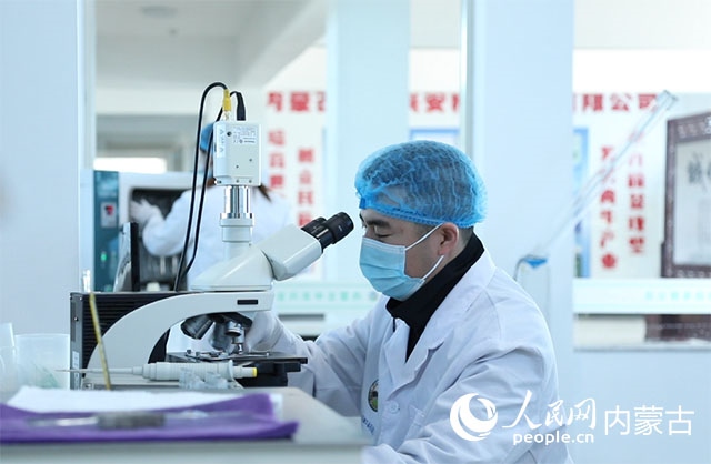 內(nèi)蒙古中農(nóng)興安種?？萍加邢薰韭鋺艨朴抑衅欤瑸槿馀．a(chǎn)業(yè)發(fā)展提供了優(yōu)質(zhì)的種源保障。白俊華攝