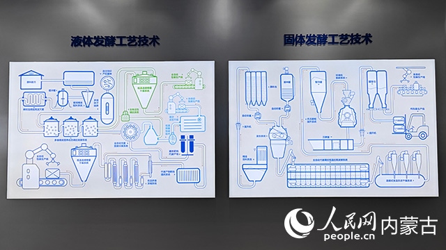 科拓生物工藝技術(shù)展示。人民網(wǎng)記者 張雪冬攝