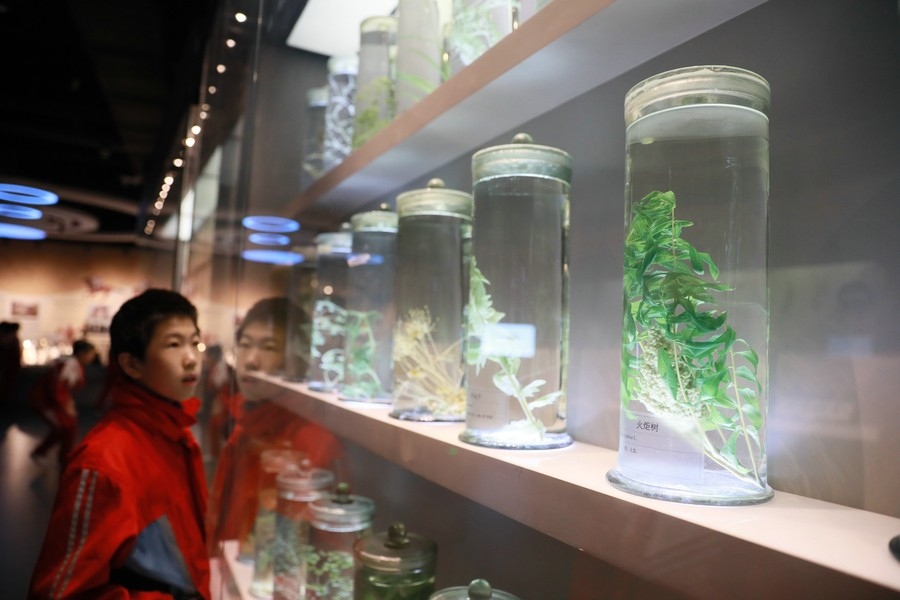 1612668105829690.jpg btA4-hryfqhm4361075.jpg