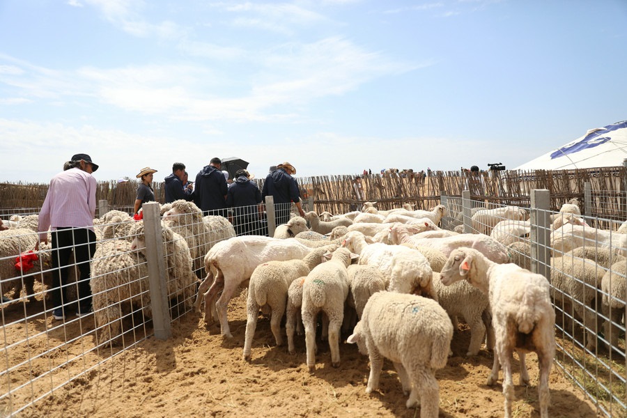 1623169109814888.jpg 7O5A3517.jpg