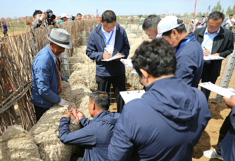 1623464776752866.jpg 7O5A3492.jpg