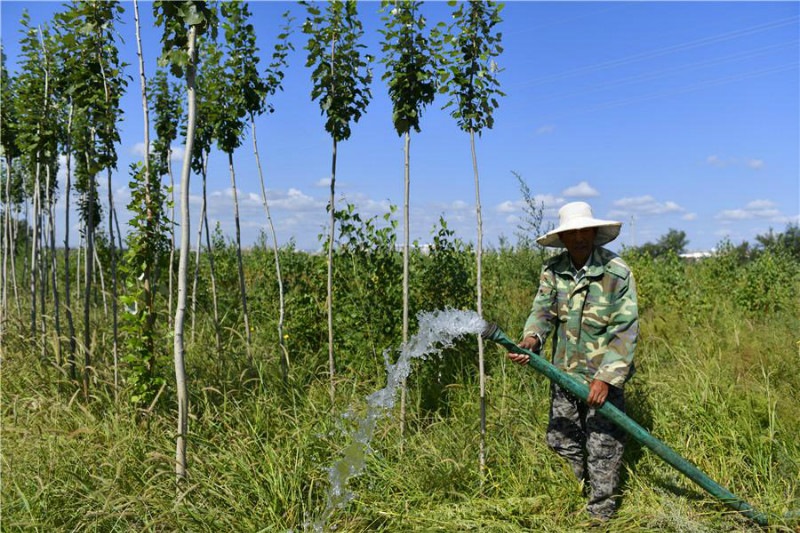 1630382105327618.jpg 微信圖片_20210831114318.jpg