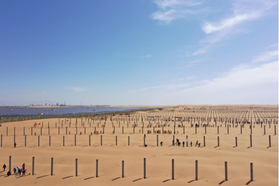 1650619929135795.png de02b0368080017a96fdbf2607290037605.png