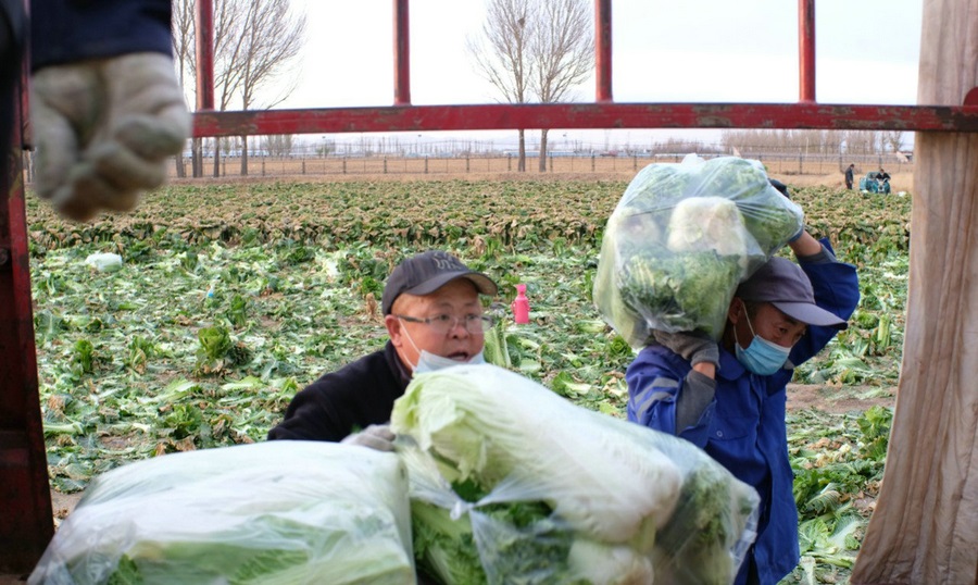 1667662506824531.jpg 微信圖片_20221105231357.jpg