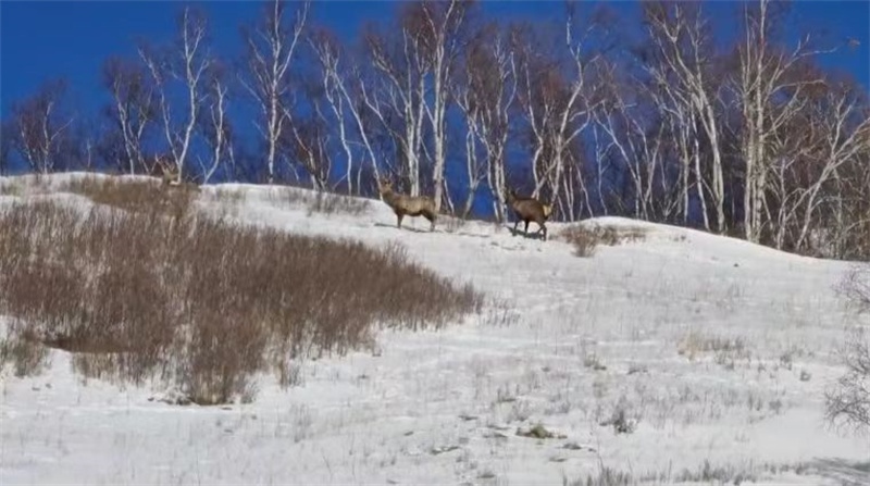 1676633431100655.jpg 微信圖片_20230217192935.jpg