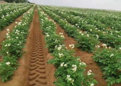 1677551097915802.png image.png