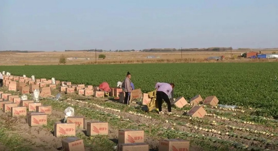 1698118255736101.png 3.png