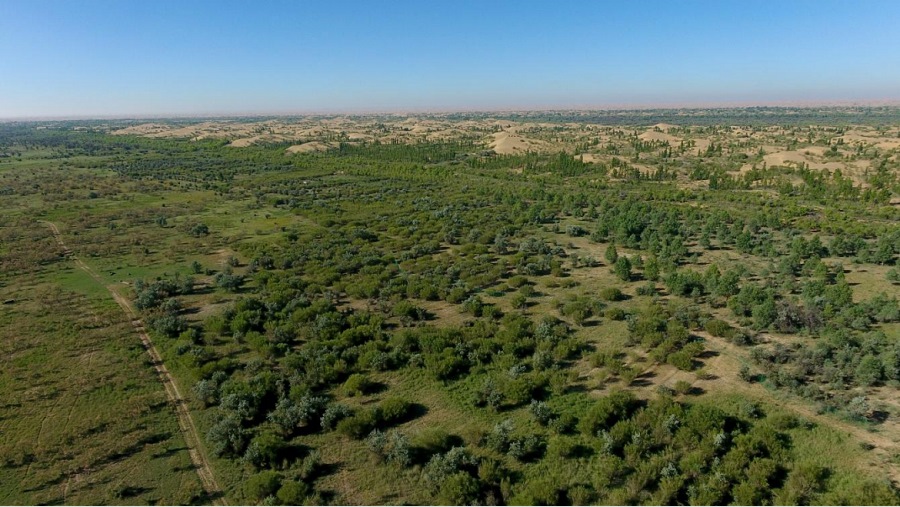 1718603903114864.png 747344dc5b103bd286f3665ac5e5321733.png