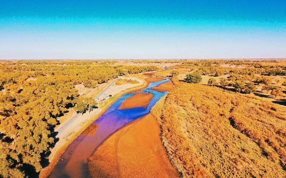 1719835996101641.jpg 624d3d44ly1gw4r0mag60j20qo0hsteh.jpg