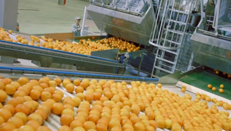 1729426885527010.png 圖片46.png