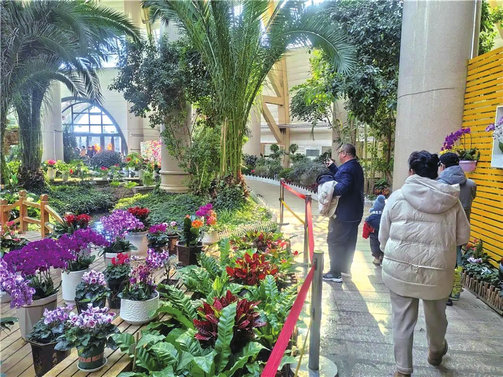 1740105330574474.jpg 植物園1.jpg