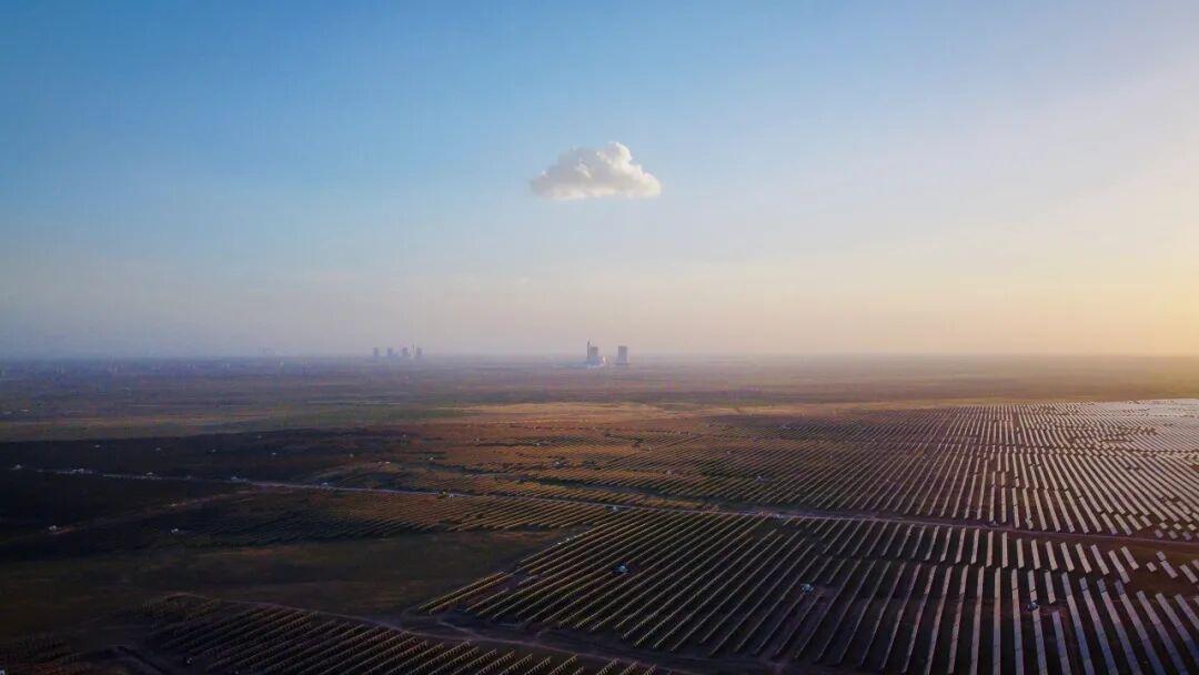 1762941535105746.jpg 80383337_d63a6ba9-6977-4fc7-b475-27def726e64f.jpg