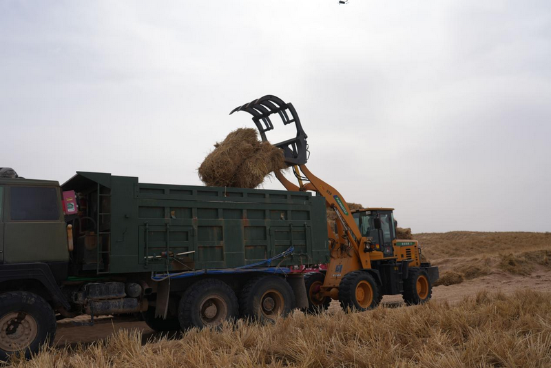 1772265359559843.png 阿拉善機械作業(yè).png