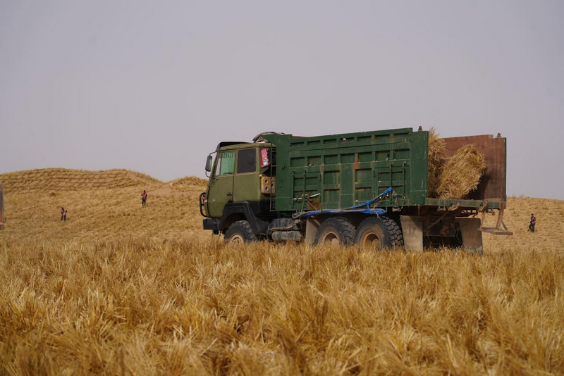 1772265385395031.png 阿拉善運輸?shù)静?png