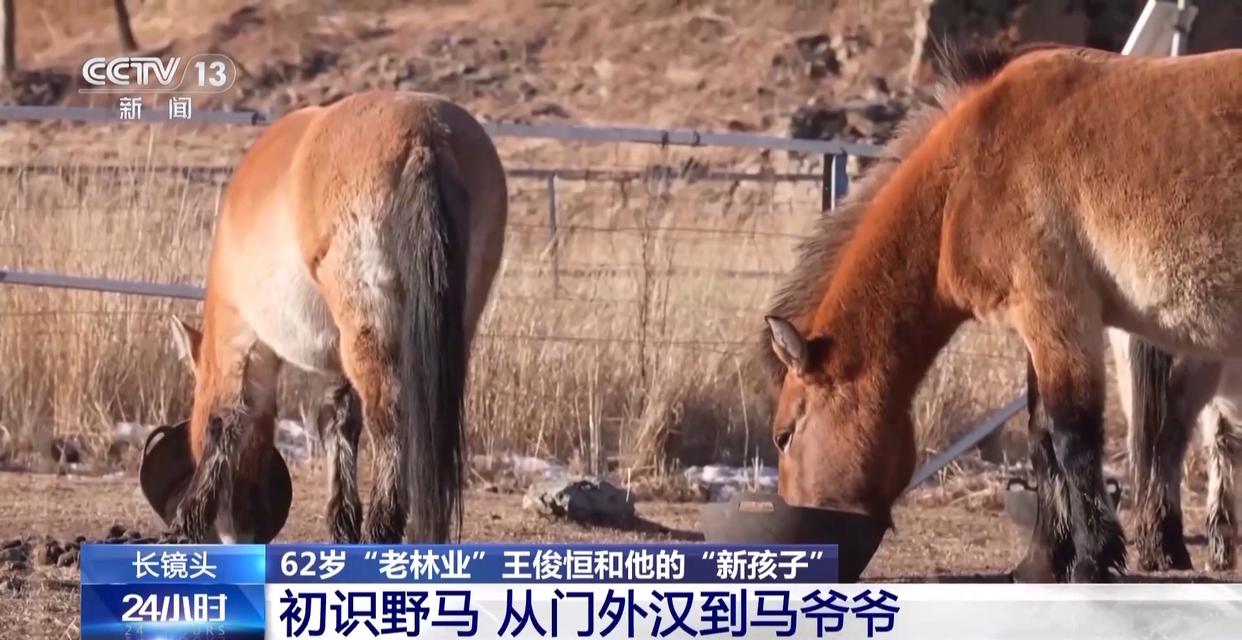 1772594350385693.jpg 005.jpg