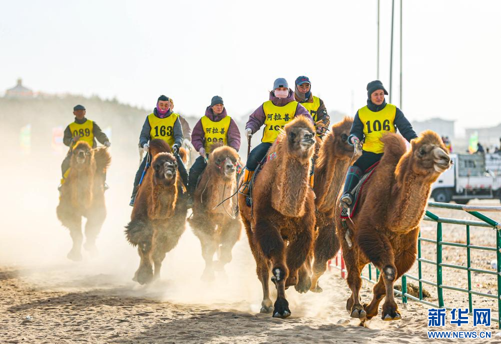 3月7日，賽駝手在6000米成年駱駝場(chǎng)地速度賽比賽中。.jpg