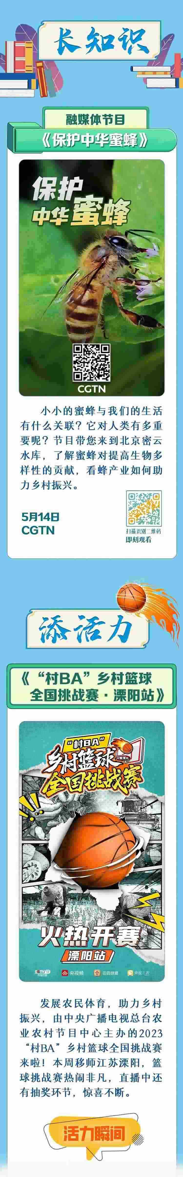 總臺周看點，來了！