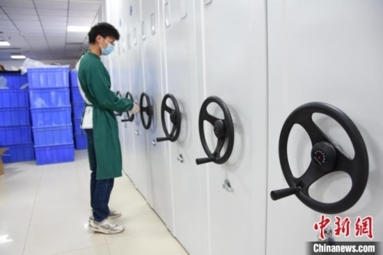 圖為鄭州大學人骨考古實驗室內的骨骼標本庫。王宇 攝