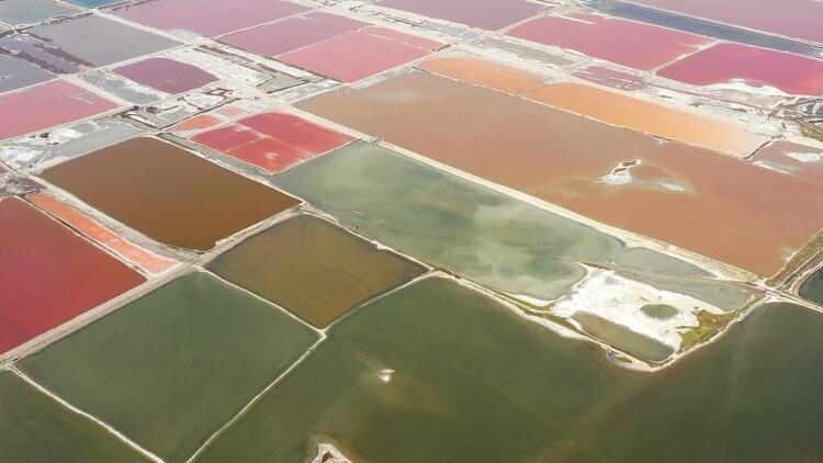 鑒往知來(lái)，跟著總書(shū)記學(xué)歷史丨走進(jìn)一座博物館，尋根五千年中華文明