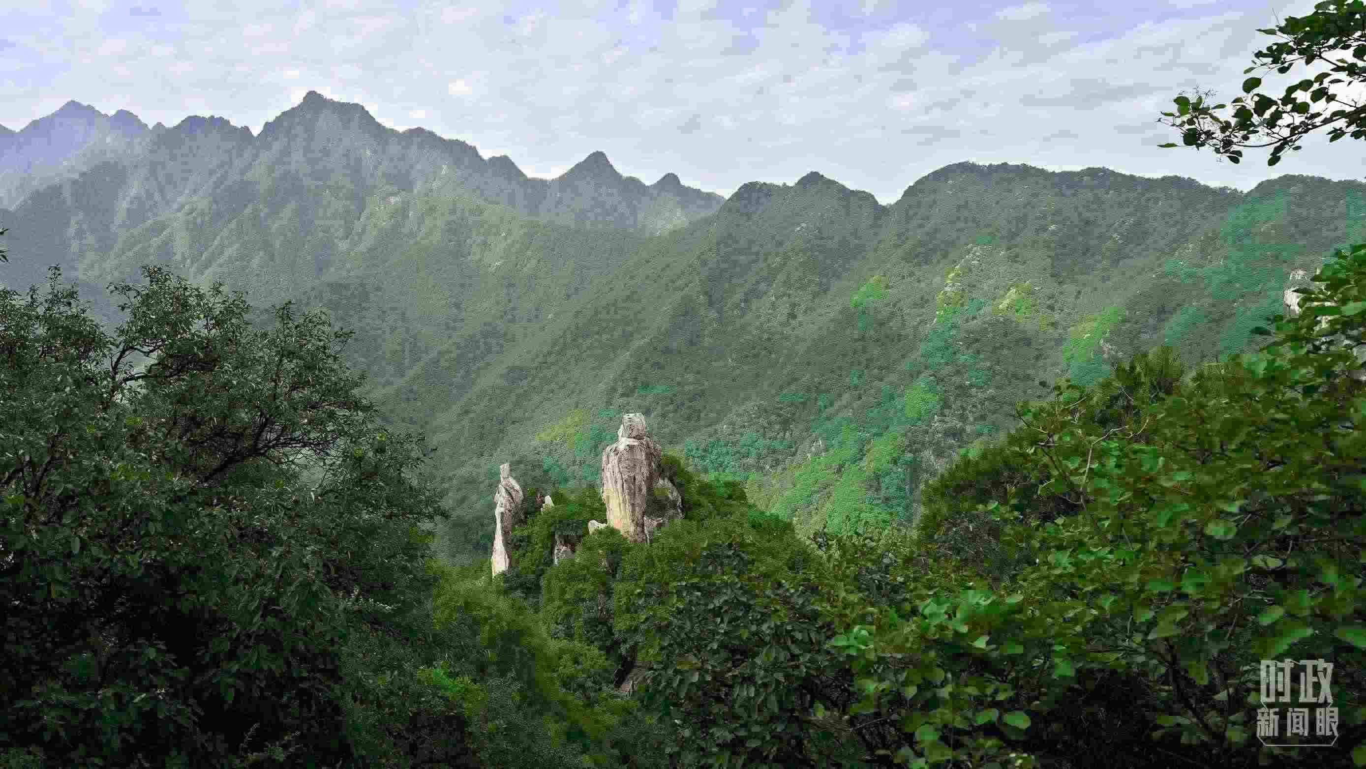 △秦嶺。（圖／視覺中國）