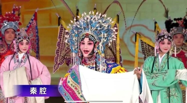 時(shí)政微觀察丨石榴花開(kāi)的時(shí)節(jié)