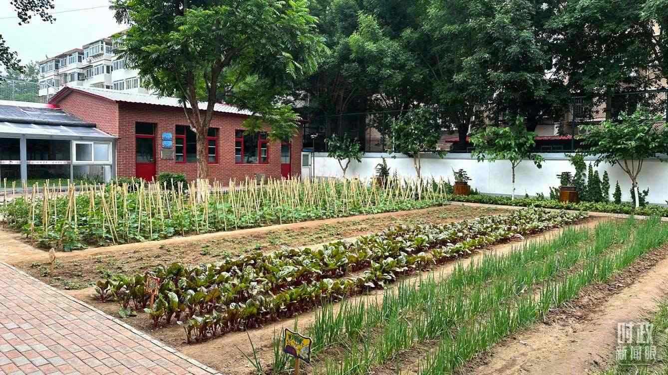 △學(xué)生農(nóng)場。（總臺(tái)央視記者趙化拍攝）