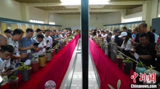 圖為活動(dòng)現(xiàn)場(chǎng)。 云南省委臺(tái)辦供圖