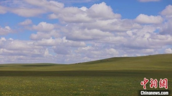 圖為點點新綠在原野上蓄勢待發(fā)。 歐戈 攝