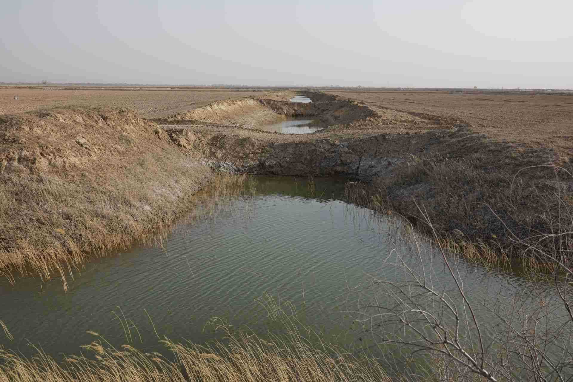 堵塞的排堿渠。 人民網(wǎng)記者 游天燚攝