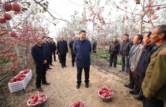 2022年10月26日，習(xí)近平總書記在陜西省延安市安塞區(qū)高橋鎮(zhèn)南溝村蘋果園同老鄉(xiāng)們親切交流。