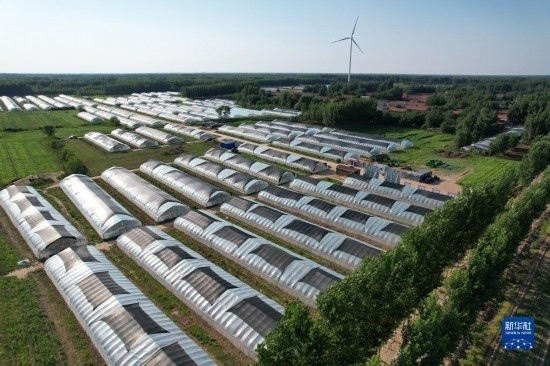 這是6月21日在山東省樂陵市西段鄉(xiāng)岔河村拍攝的東亞飛蝗養(yǎng)殖基地（無人機照片）。新華社記者 范長國 攝