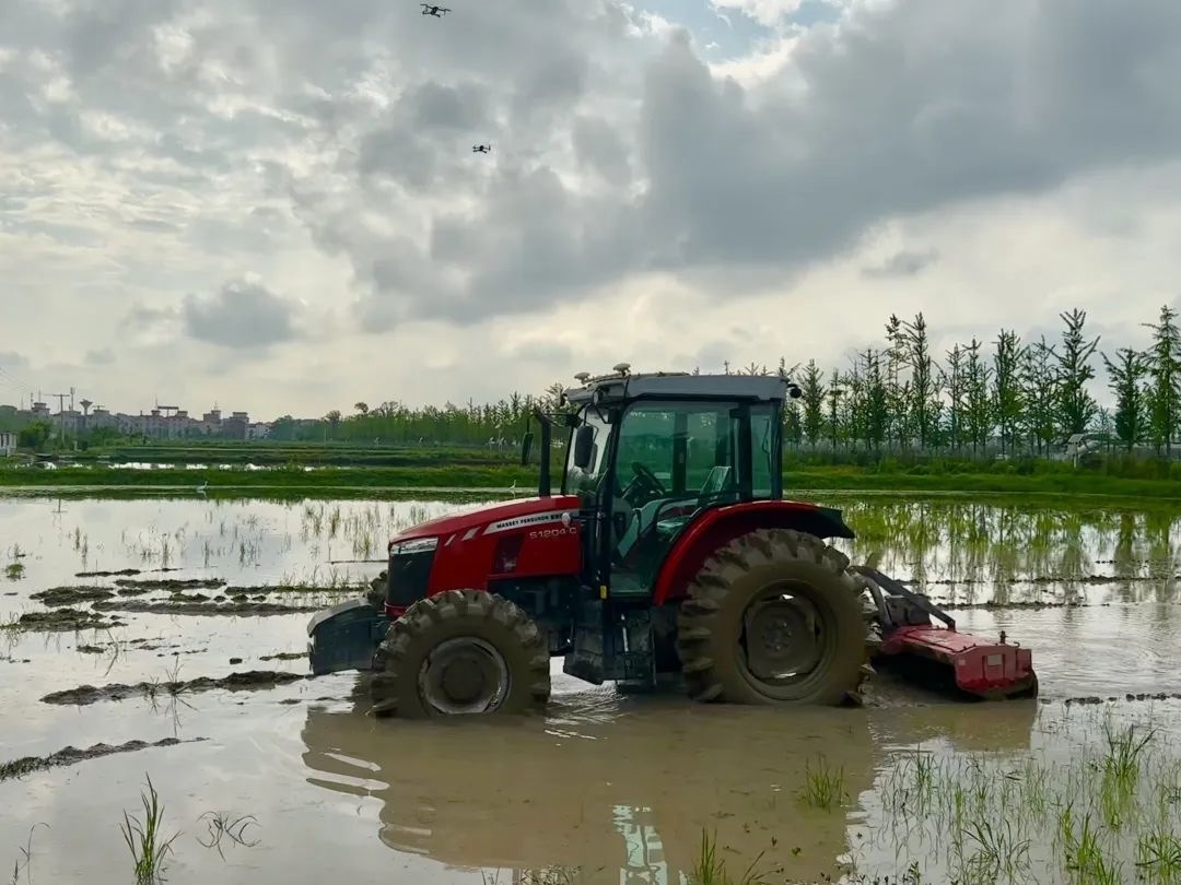 浙江省金華市東陽(yáng)市城東街道寀盧村的一臺(tái)無(wú)人駕駛耕地機(jī)。靜玄 攝