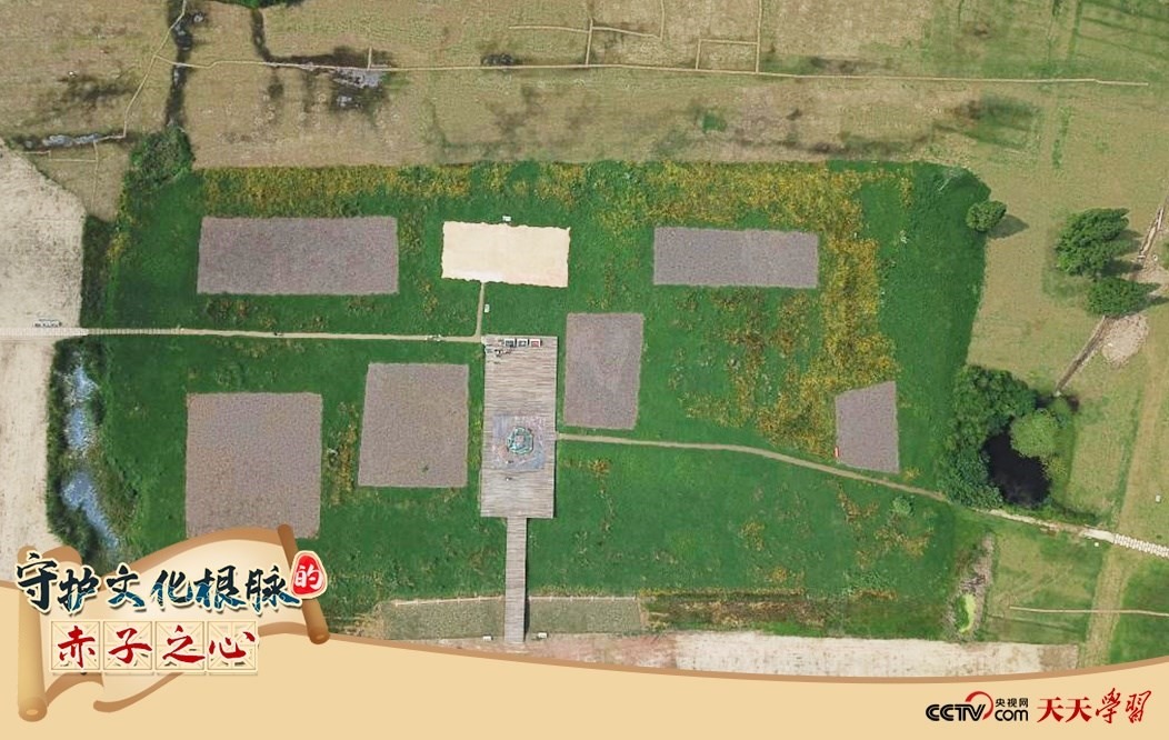 2019年6月23日無人機拍攝的良渚國家考古遺址公園的宮殿區(qū)。