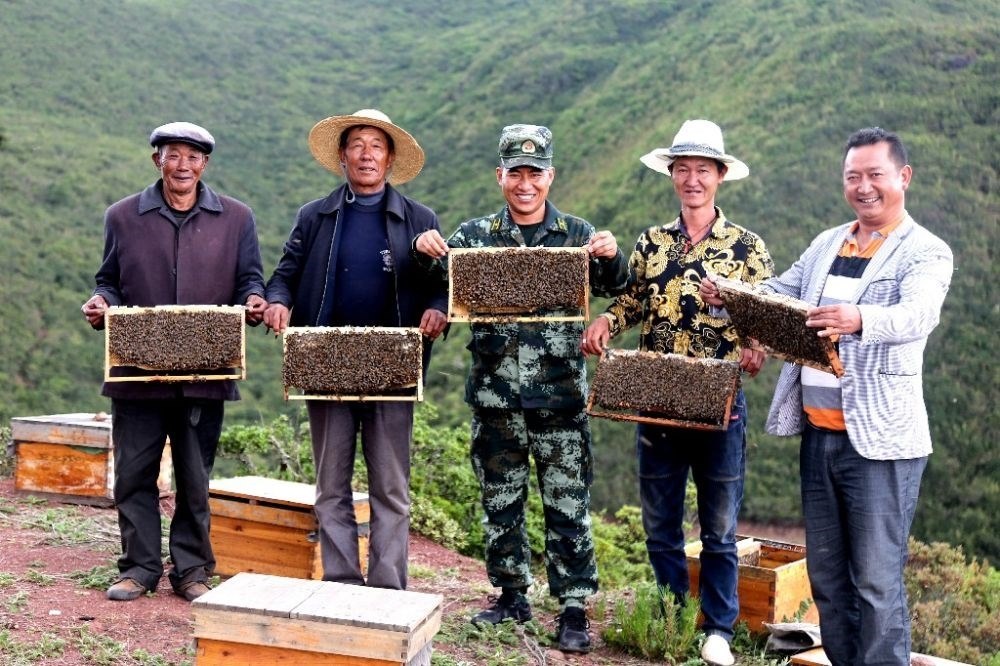 ↑武警四川總隊(duì)涼山支隊(duì)精準(zhǔn)幫扶昭覺縣梭梭拉打村發(fā)展養(yǎng)蜂產(chǎn)業(yè)，總隊(duì)駐村扶貧干部布哈（中）和村民一同展示豐收成果（2019年6月12日攝）。新華社發(fā)（楊劍 攝）