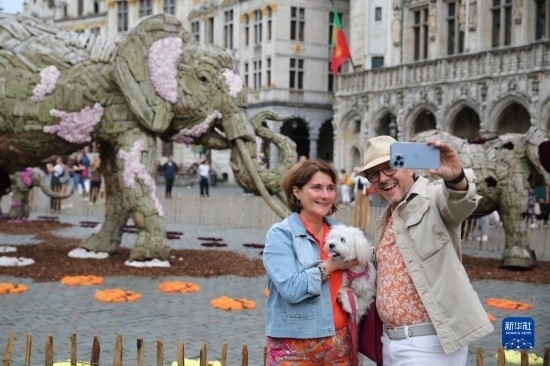 8月11日，觀眾在比利時布魯塞爾“鮮花時光”展覽上拍照。新華社記者 趙丁喆攝