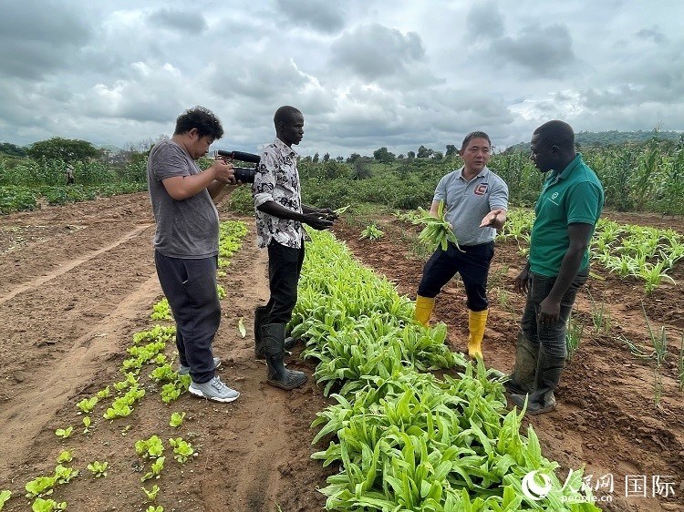 人民網(wǎng)記者走進尼日利亞農業(yè)技術示范中心。人民網(wǎng)記者 趙艷紅攝