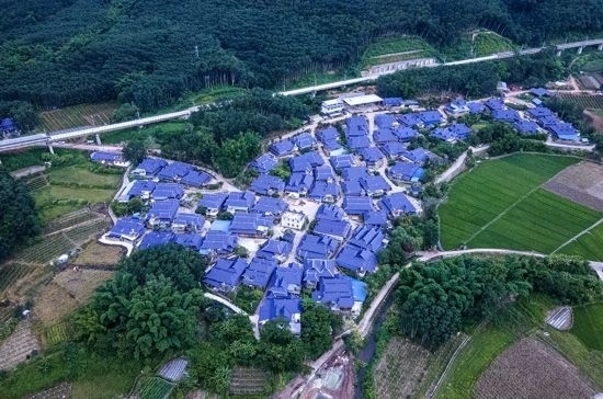 磨憨鎮(zhèn)曼莊村大龍哈小組現(xiàn)代化邊境幸福村新貌。人民網記者 符皓攝