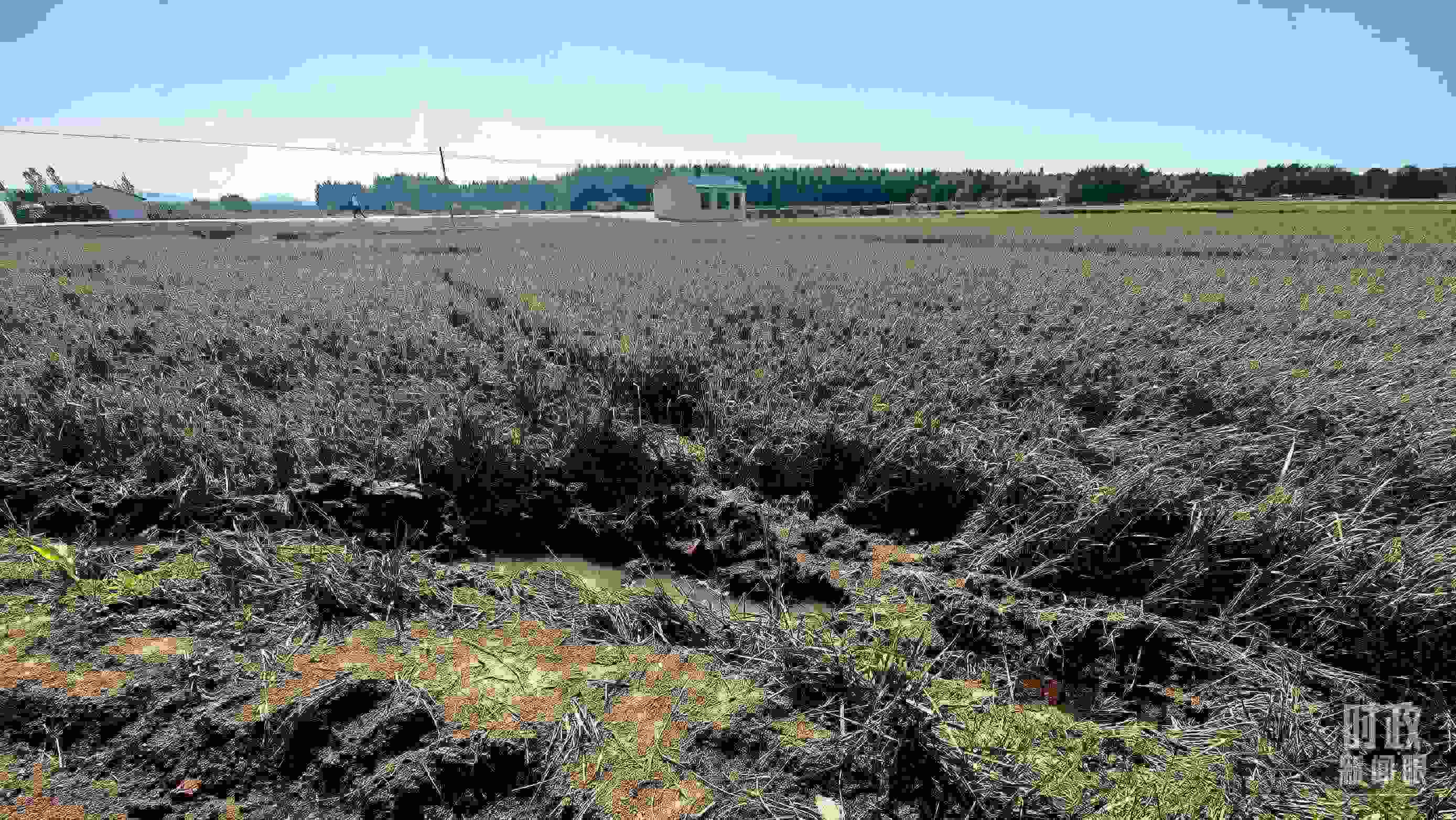 △圖為龍王廟村在洪災(zāi)中受損的農(nóng)田。（總臺央視記者史偉拍攝）