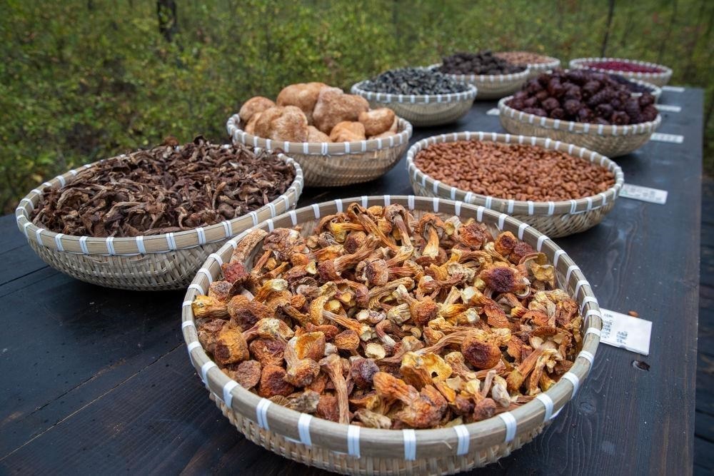 △近日，漠河市北極村一景區(qū)展示的林下產(chǎn)品。