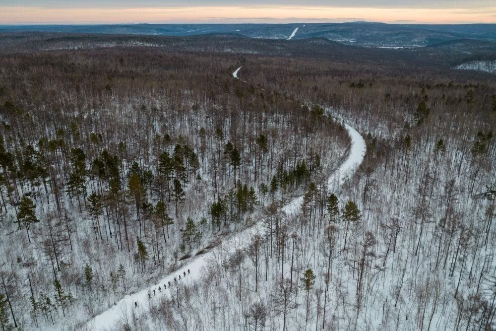 △2023年1月，漠河林場(chǎng)數(shù)十名職工自發(fā)組成的森林撫育隊(duì)伍，在人跡罕至的山林中作業(yè)。
