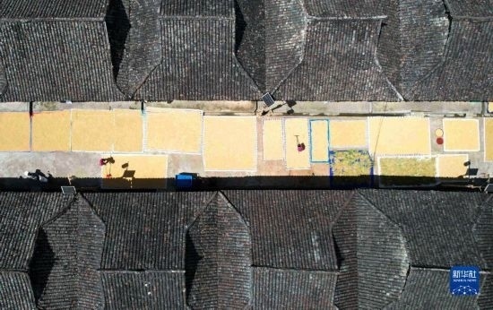 9月16日，在貴州省黔東南苗族侗族自治州從江縣加勉鄉(xiāng)污扣村，村民在晾曬稻谷（無人機(jī)照片）。