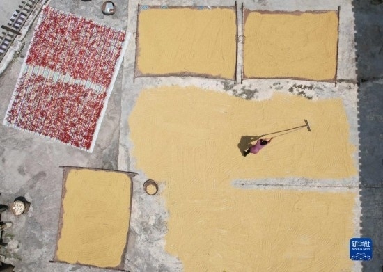 9月16日，村民在貴州省黔東南苗族侗族自治州施秉縣馬溪鄉(xiāng)王家坪村晾曬稻谷（無人機(jī)照片）。