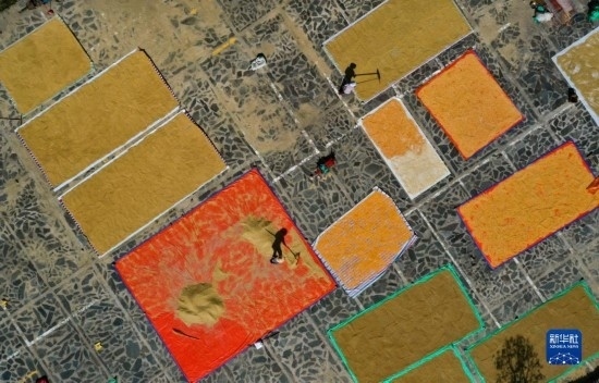 9月16日，貴州省黔東南苗族侗族自治州丹寨縣南皋鄉(xiāng)石橋村村民在晾曬農(nóng)作物（無人機(jī)照片）。
