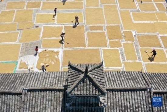 9月16日，村民在貴州省黔東南苗族侗族自治州從江縣剛邊壯族鄉(xiāng)三聯(lián)村晾曬稻谷（無人機(jī)照片）。